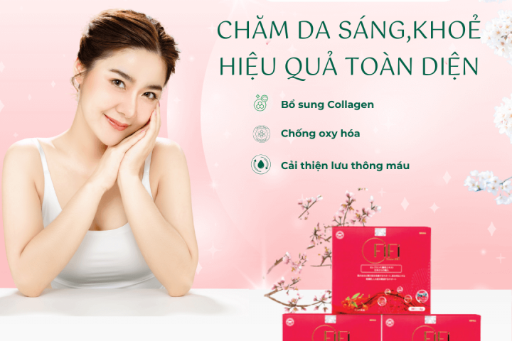 CHỐNG OXY HOÁ, NGĂN NGỪA TẮC NGHẼN MẠCH MÁU NÃO NGUY CƠ ĐỘT QUỴ