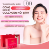 Cerepron F: "Chiến binh" bí mật chống lão hóa, bảo vệ cấu trúc da từ sâu bên trong