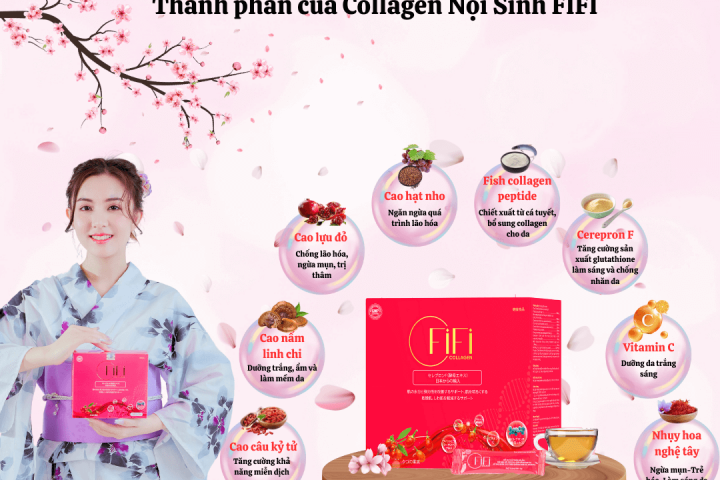 FIFI COLLAGEN LÀ DÒNG COLLAGEN GÌ VÀ CÓ NHỮNG THÀNH PHẦN NÀO???